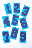 Special Single back number (quilted number)